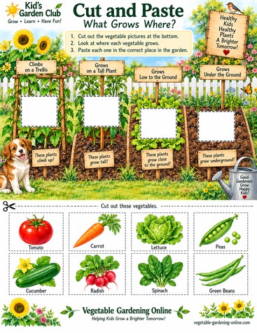 Cut and paste sorting activity matching tomato, carrot, lettuce, peas, cucumber, radish, spinach, and green beans to how they grow: climbing, tall, low to the ground, or underground