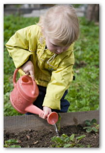 young gardener watering a raised bed vegetable garden