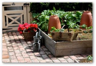 raised bed garden ready for planting