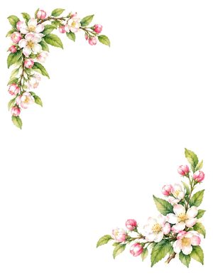 Apple Blossom folded note card