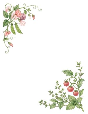Sweet Pea and Tomato folded note card