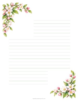 Apple Blossom letter paper