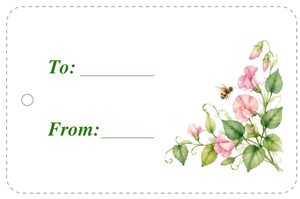 Free printable gift tag with sweet peas and blue cornflowers
