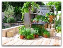 How to Create a Small Organic Garden