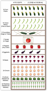 4X20 Sample Vegetable Garden Plan
