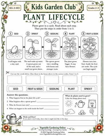 Plant life cycle worksheets