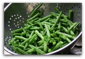 Planting Bush Beans